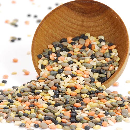 Lentils - Autumn Blend, Dry