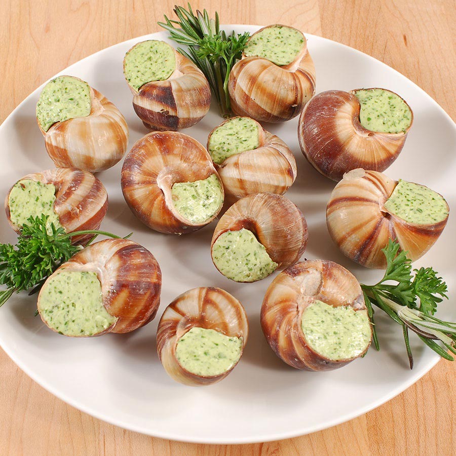 Escargot Snail Shells (12 count) - Caviar Star