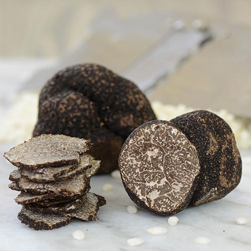 Wholesale Fresh Black Winter Truffles from Italy, First Choice - Buy online today